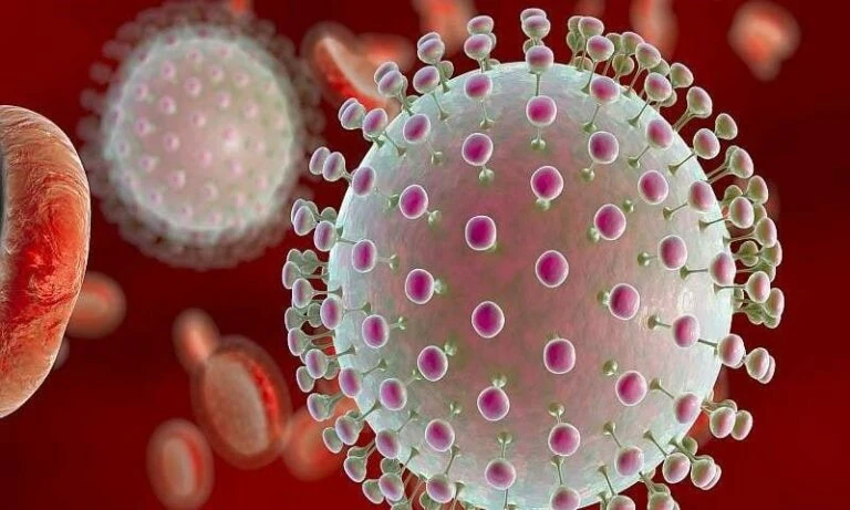 Virus Zika: Lo que Ud debe saber